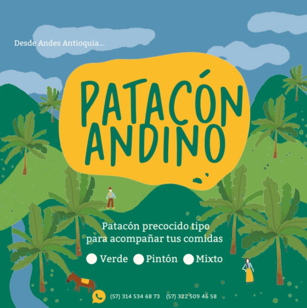 Patacón Andino