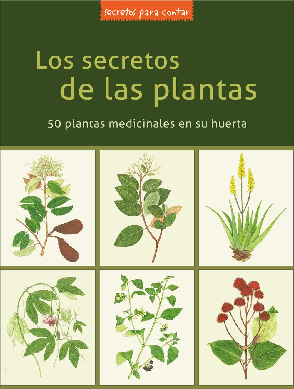 portada Los secretos de las plantas