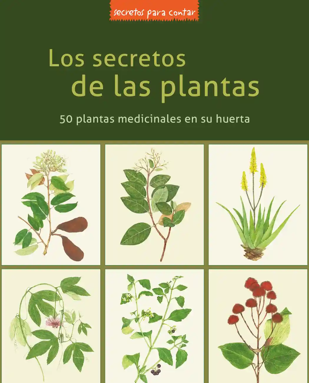 Los secretos de las plantas
